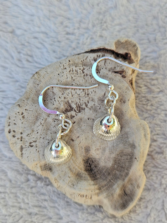 Seabreeze Silver Shell Earrings